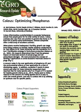 Coleus: Optimizing Phosphorus