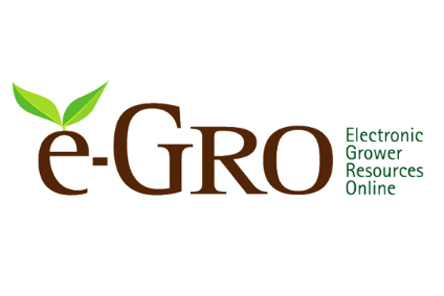 e-GRO: More than Alerts and Blogs