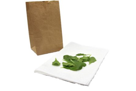 Target Leaf Tissue Sampling for Precise Nutrient Diagnosis