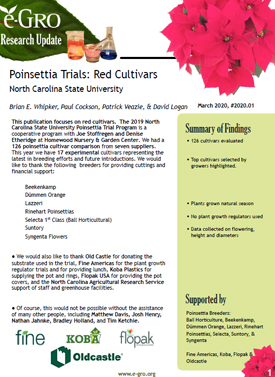 Poinsettia Trials: Red Cultivars